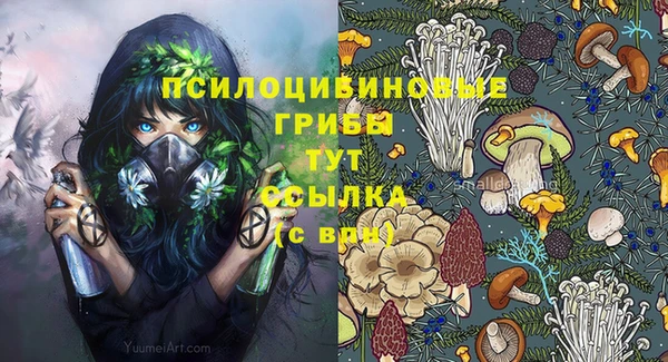 гидра Протвино