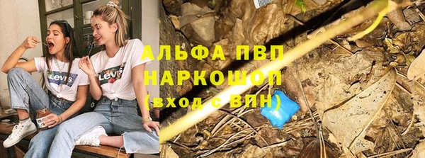 стаф Приозерск