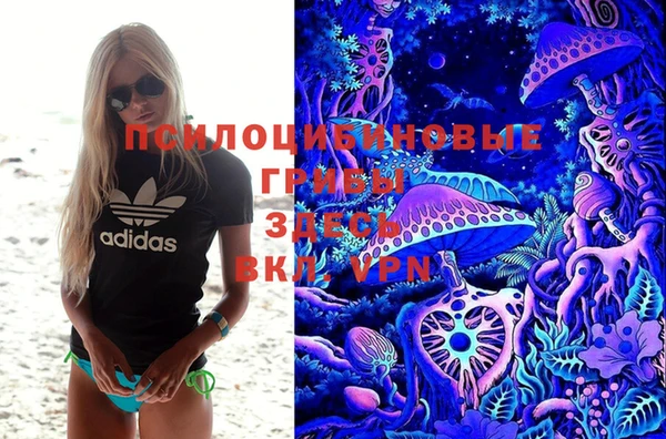 гидра Протвино