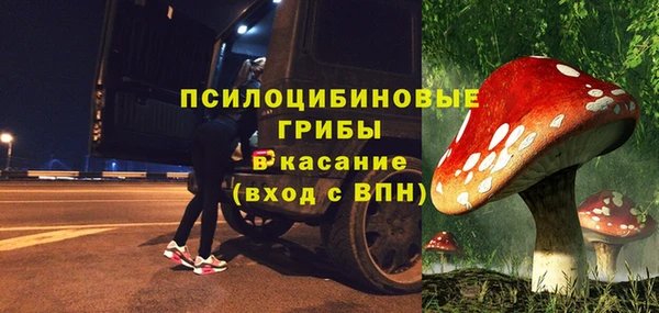 стаф Пролетарск