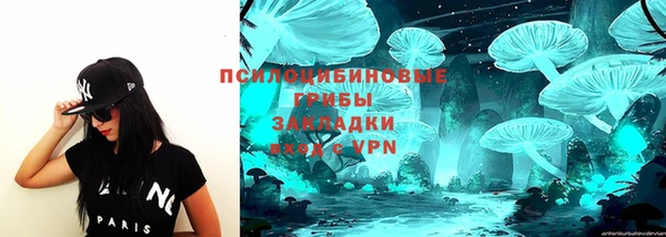 стаф Приозерск