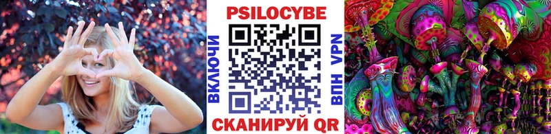 Галлюциногенные грибы GOLDEN TEACHER  Купить где  Майкоп 